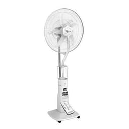 Roch - Fan
